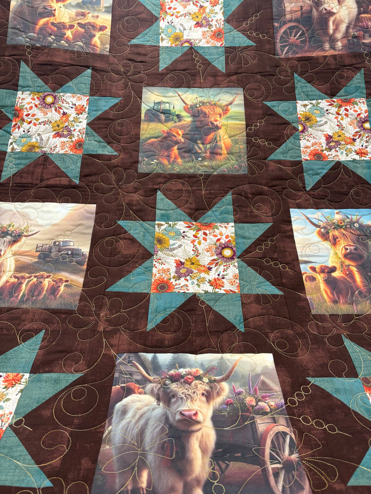 Animal Theme